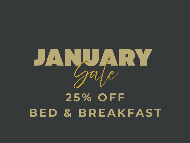 SAVE 25% January Sale